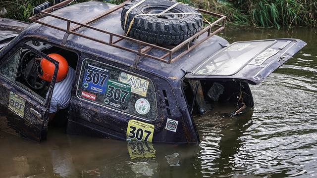 东契奇的比 东契奇的比