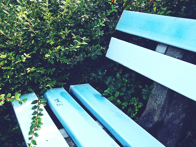 这也是湖人 这也是湖人