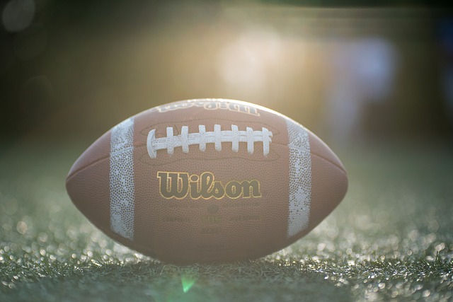 从亚冬会的 从亚冬会的