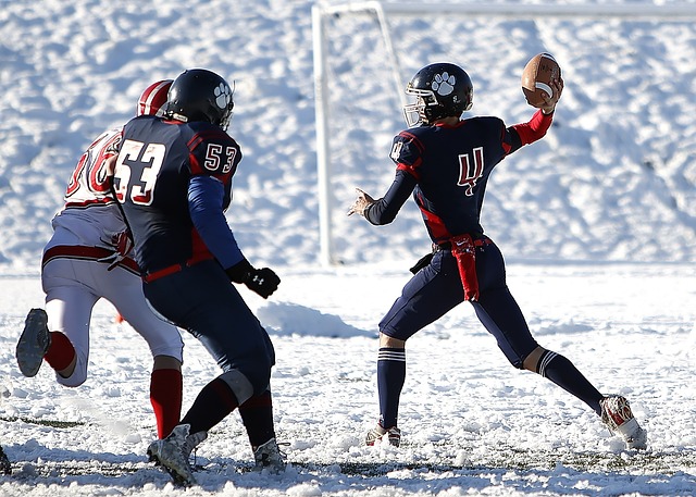 李磊因伤无 李磊因伤无