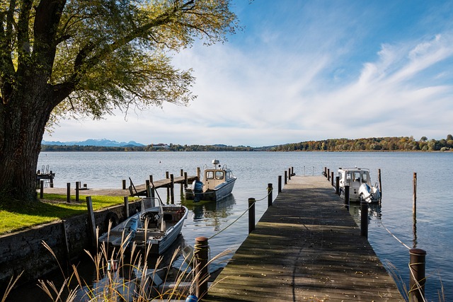 市场效应 市场效应