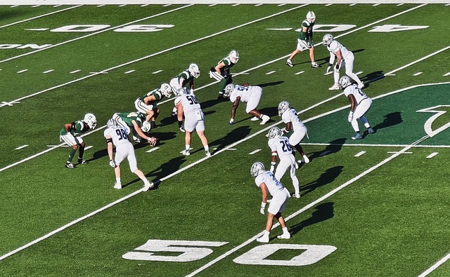 的热情支持 的热情支持