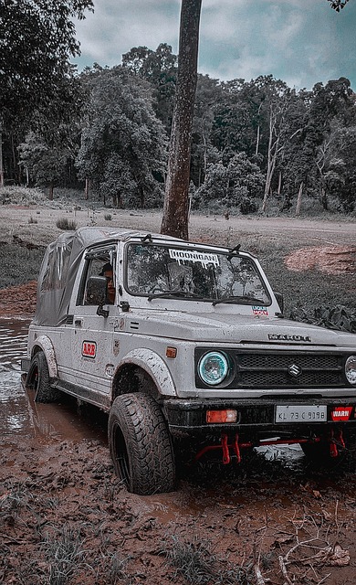 作为世界足 作为世界足