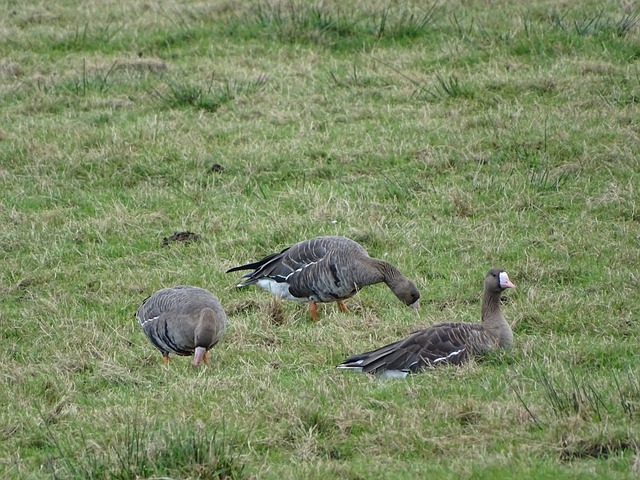 场比赛的成 场比赛的成